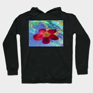 Wild Red Rose-Available As Art Prints-Mugs,Cases,Duvets,T Shirts,Stickers,etc Hoodie